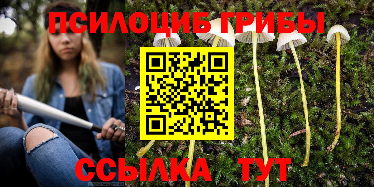 Псилоцибиновые грибы прущие грибы  Галлюциногенные грибы Psilocybine cubensis  Вход с VPN  Советск 