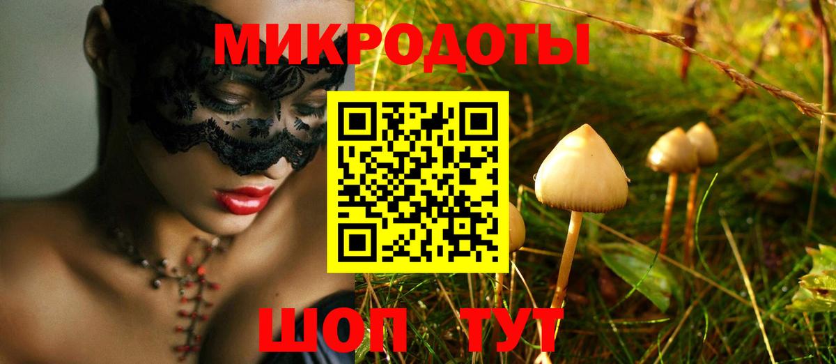 Галлюциногенные грибы GOLDEN TEACHER Советск